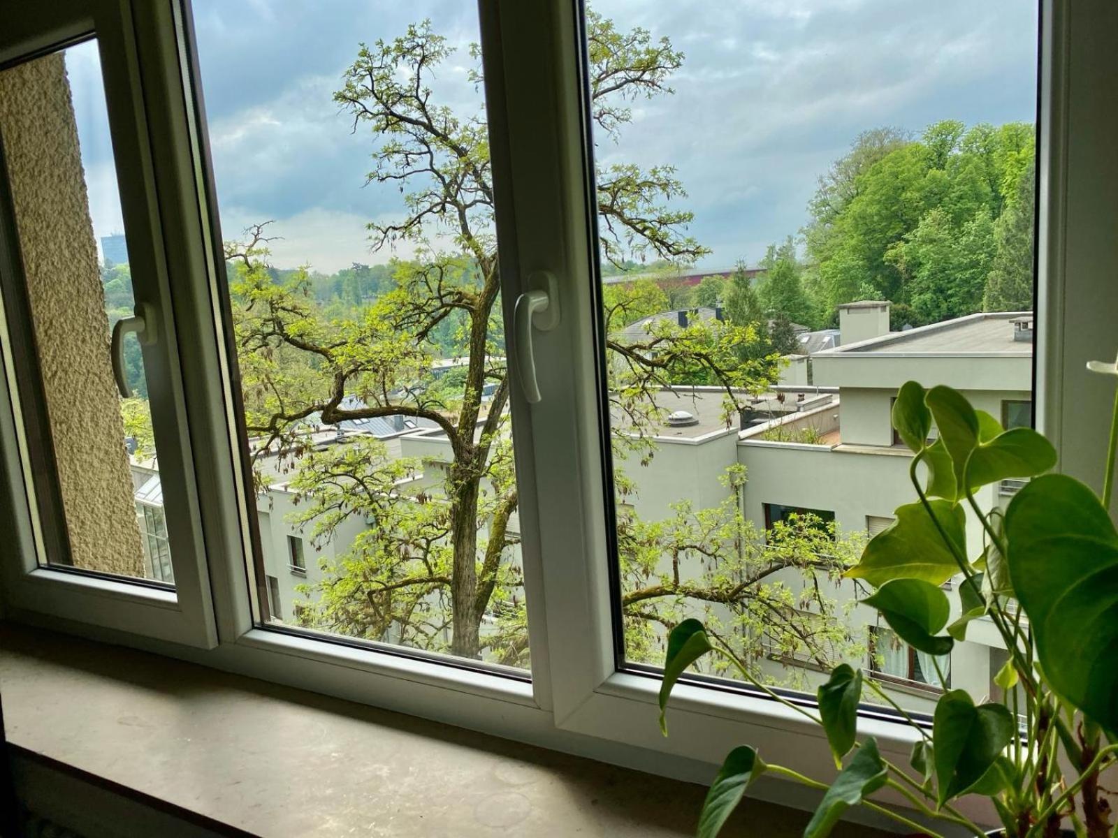 Hotel Rue Des Glacis Limpertsberg Luxemburgo Exterior foto